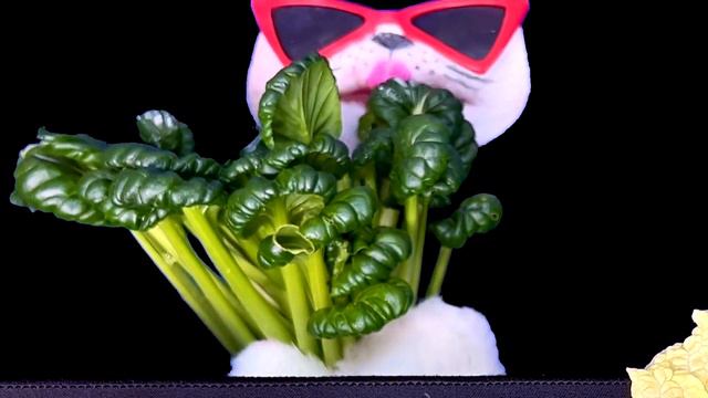 ASMR VEGGIE PLATTER CARROT TAMATO PEPPER CABBAGE 야채 채소 먹방 FRESH VEGGIES MUKBANG 咀嚼音 EATING SOUNDS смотреть онлайн