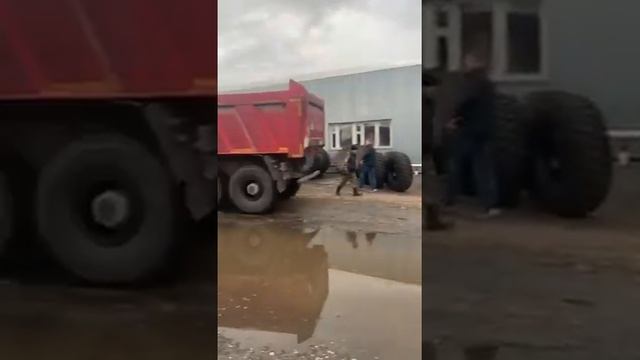 Шины 16.00R20 AEOLUS на самосвале MAN TGS 40.440 смотреть онлайн