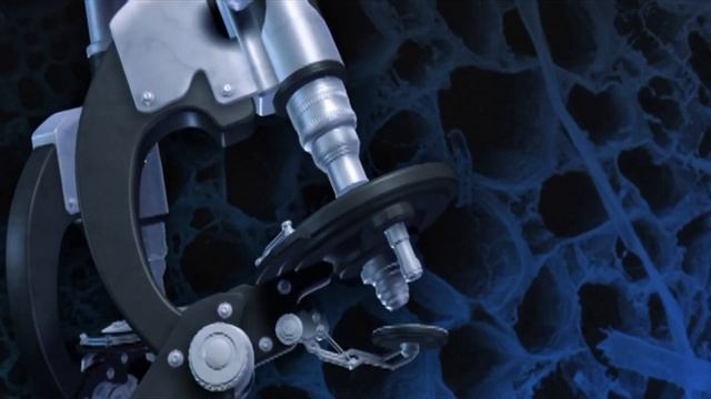 Logran recuperar ARN de un LOBO momificado de la Edad del Hielo смотреть онлайн