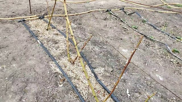 Проверка капельного полива после зимы. смотреть онлайн