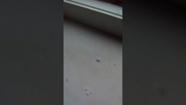 Тем временем в Ярославле. Погода 10.04.2015 смотреть онлайн