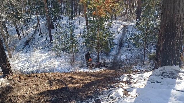 Открытая тренировка Кантри-Кросс «Золотая осень» 28.10.2023