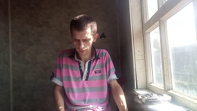 стишок кошки смотреть онлайн