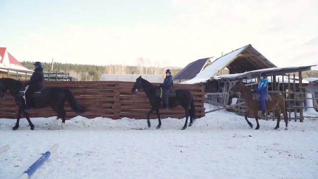 Как готовятся к соревнованиям по конному спорту дети с ОВЗ смотреть онлайн