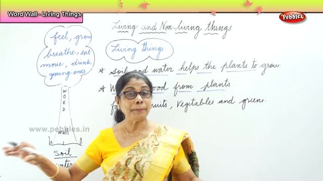 Science For Class 1 | 1st std Science | Word Wall for living things & non-living things смотреть онлайн