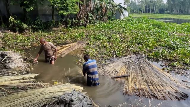 :: Andhojone Dao Alo Mritojone Dao Praan :: Bangla Song :: Ram Narayan Ram :: смотреть онлайн