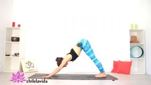 Динамическая йога 20 мин когда нет времени _ Йога chilelavida