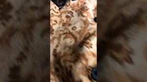 Установка дхо на ваз 2107