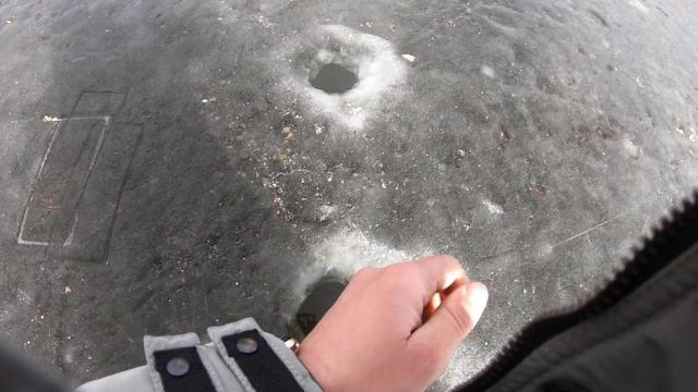 Ловля крупной плотвы на реке Днепр по последнему льду! смотреть онлайн