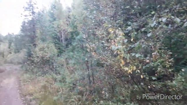 Охота 18.09.19. смотреть онлайн