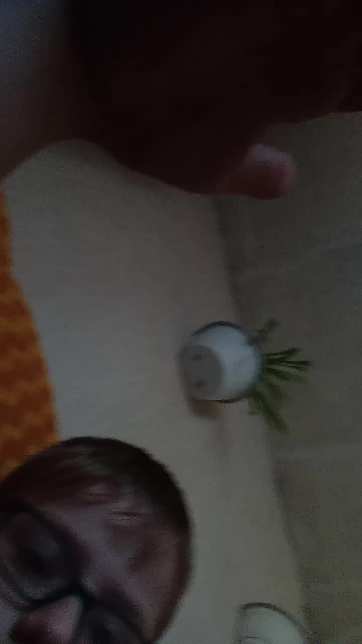 обзор на дом