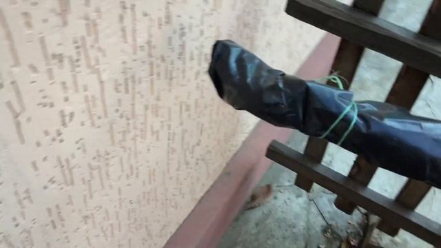 Укрытие винограда осенью. смотреть онлайн