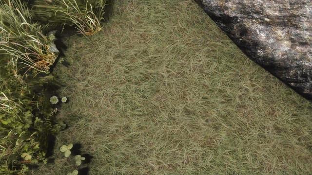 Skyrim Mods - 8K Pine Forest [4k/HD] смотреть онлайн