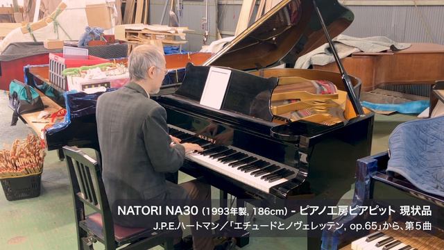 NATORI／ナトリ NA30 1993年製 現状品（J.P.E.ハートマン／「エチュードとノヴェレッテン op.65」から、第５曲） смотреть онлайн
