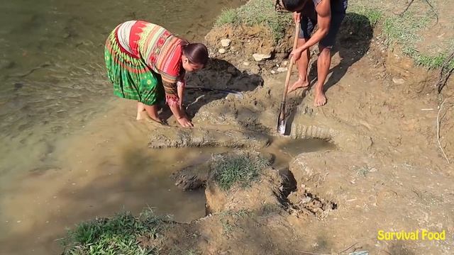 Survival skills - Skills Catch Fish Primitive For Food - Catch Big Fish In River смотреть онлайн