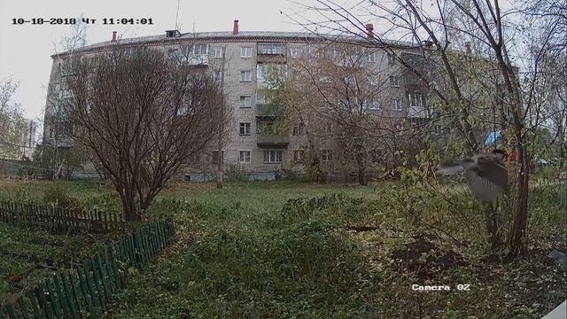 HDCVi 2 мп Видеокамера Dahua DH-HAC-HFW1220RP-0280B смотреть онлайн