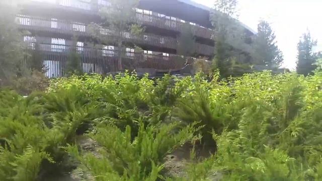 Weekend на Алтае. Поход на Чертов палец. Манжерок - курорт для богатых. смотреть онлайн