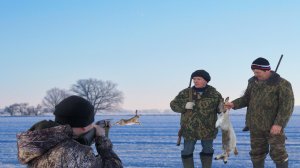 ОХОТА НА ЗАЙЦА ЗИМОЙ 2024. ТРОПЛЕНИЕ ПО СНЕГУ