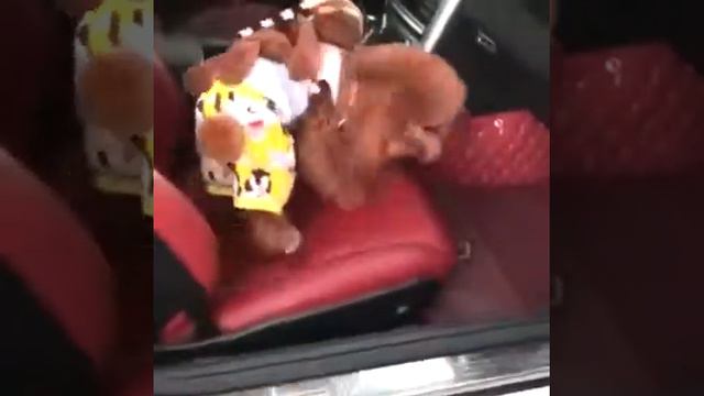 Приколы 2019 A ja idu takaja vsja spcs me смотреть онлайн