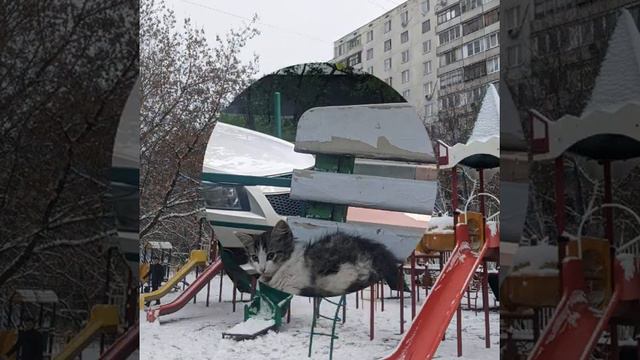Мусы Джалиля 15 к 1 - 2 смотреть онлайн