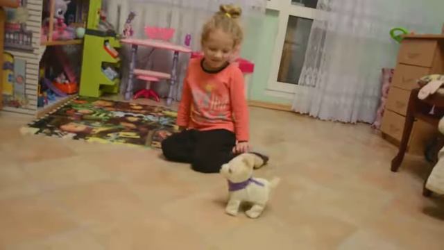 Кувырок. Маленькая девочка играет с игрушечной собакой смотреть онлайн
