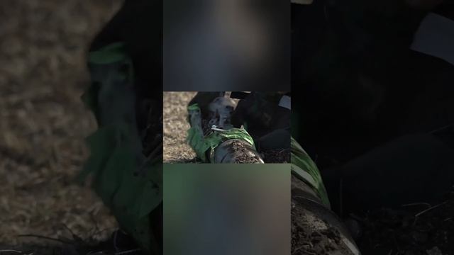 Разминирование сельхозугодий в Херсонской области / 1-1 смотреть онлайн