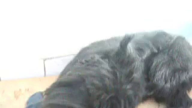 п-к Роман-Кош..Роман-Кош Венеция, Балаклава , досуг смотреть онлайн