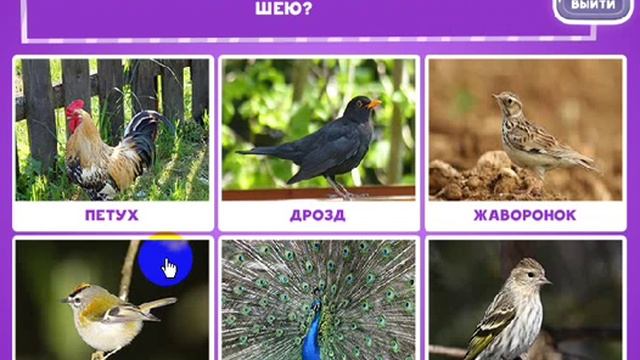 ОТВЕТЫ игра "В мире животных-2" 21, 22, 23, 24, 25, 26, 27, 28, 29, 30 уровень. одноклассники. смотреть онлайн