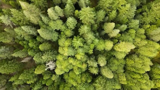 Глюк. Страшные. Мистические. Творческие рассказы. смотреть онлайн