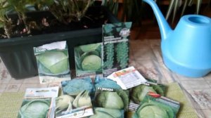 ЛУЧШИЕ ДНИ ДЛЯ ПОСЕВА КАПУСТЫ В АПРЕЛЕ!