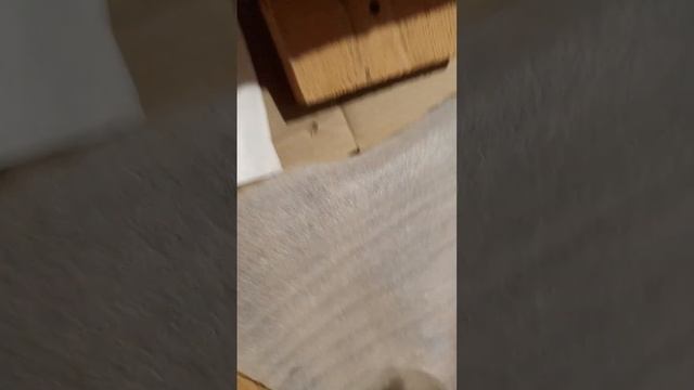 NEVA LUX 6011 НЕ РАБОТАЕТ смотреть онлайн