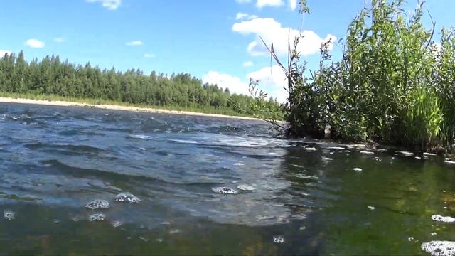 Река  Инзер - любимица  тысяч  отдыхающих.