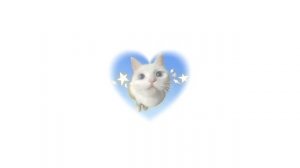 плейлист чтоб почувствовать себя весёлым котиком #1 ✩°｡⋆⸜ ?