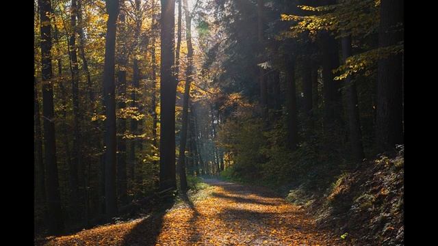 20 минут отдыха в обеденный перерыв.Эмоциональная разгрузка. смотреть онлайн