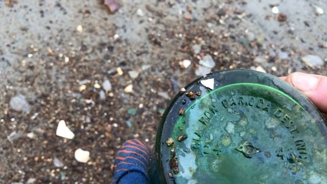 The Glass Bottle Beach Of Brooklyn: Metal Detecting NYC смотреть онлайн