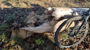 Обманули или всё таки нет!? MXUS XF07 350Вт или 250 Вт мотор колесо электровелосипед DYI fifine m6