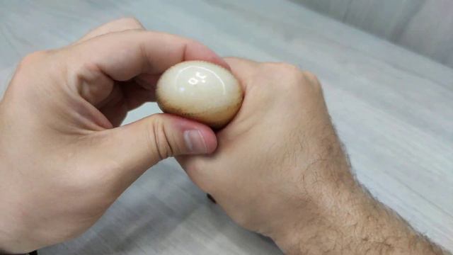 Муравей смотреть онлайн