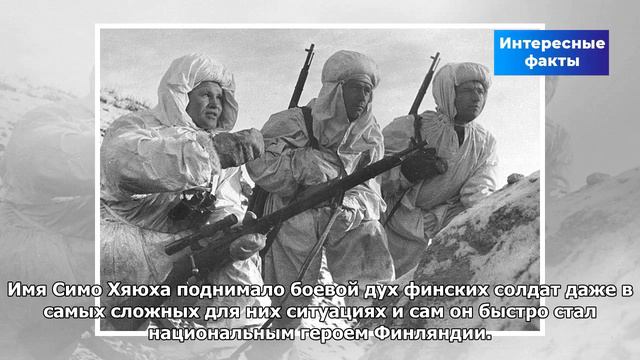 Почему на Новый год наряжают елку? | Интересные факты смотреть онлайн
