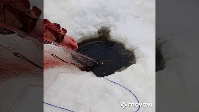 Проверка сетей, на четвёртый день смотреть онлайн