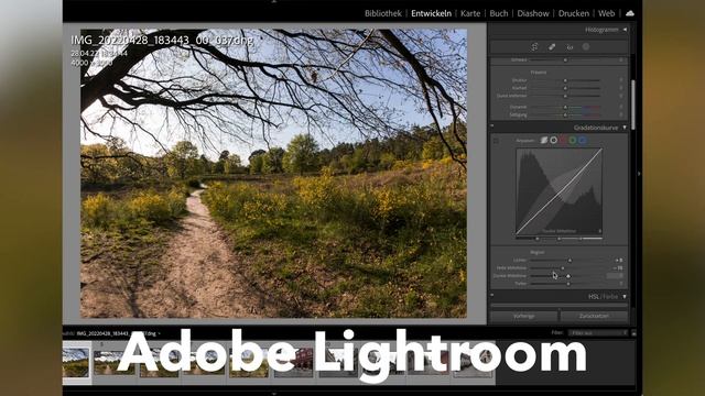 Insta360 ONE RS For Beginners | Everything You Need To Know | English User Guide