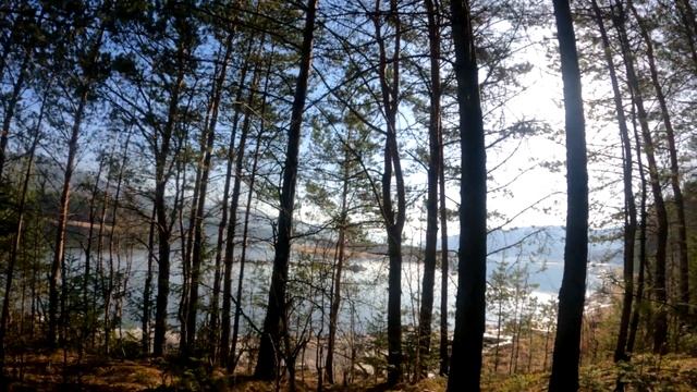 На рыбалку с внуком смотреть онлайн