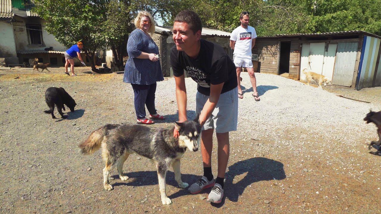 Мы в ответе за тех, кого приручили! Помните об этом! смотреть онлайн