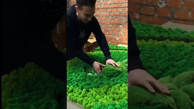 Сделали пано из стабилизированного мха смотреть онлайн