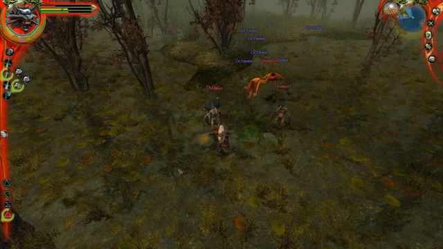 The Witcher (#11 Откуда берутся маленькие дриадки?)