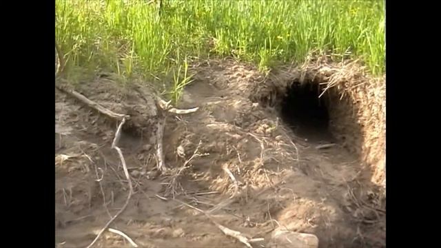 река Большой Таз Горная Шория 05г смотреть онлайн