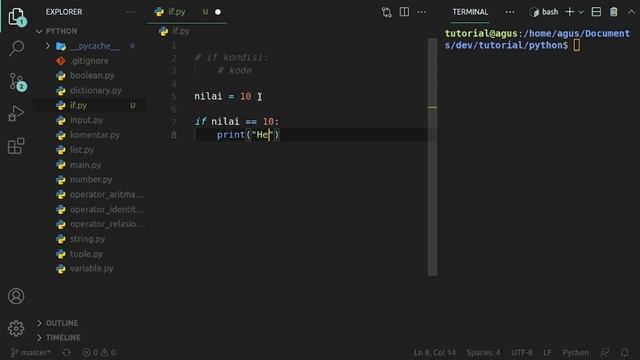 Tutorial Dasar Python #18 - Percabangan If смотреть онлайн