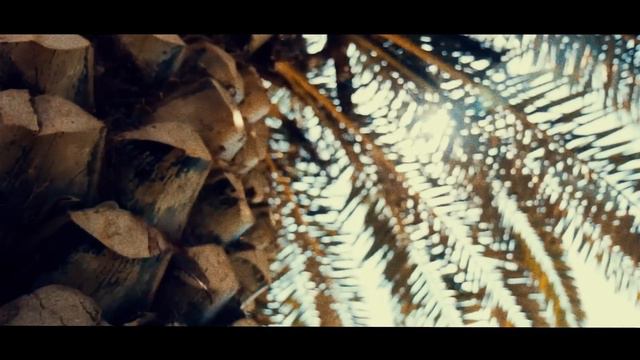 Milk & Sugar - Let The Sun Shine (Milk & Sugar Remix) [Official Video]
