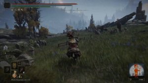 ✅ ELDEN RING 1.09:▶ Где найти все слёзы личинок. Гайд! ✅