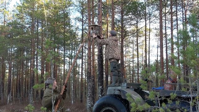 Гоголятники \ Дуплянки Биотехния #1 смотреть онлайн