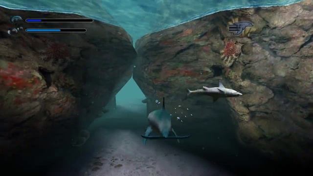 Ecco: Defender of the Future [PS2] - Part 3: Trial Without Error смотреть онлайн